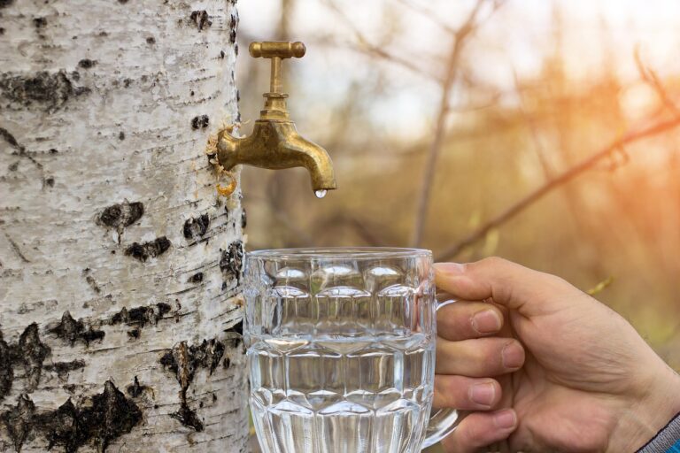 Immagine di un depuratore d'acqua installato in una cucina moderna.